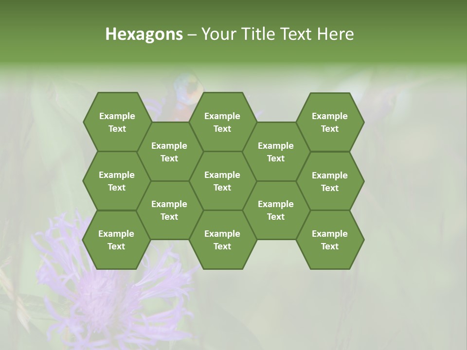 Meadow Butterfly Inachis PowerPoint Template