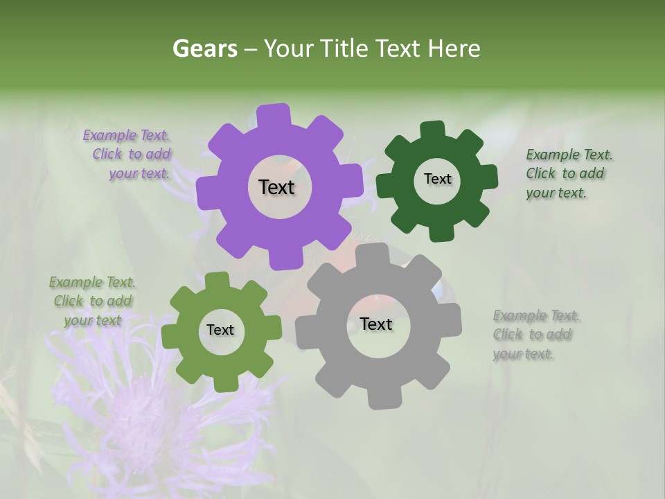 Meadow Butterfly Inachis PowerPoint Template