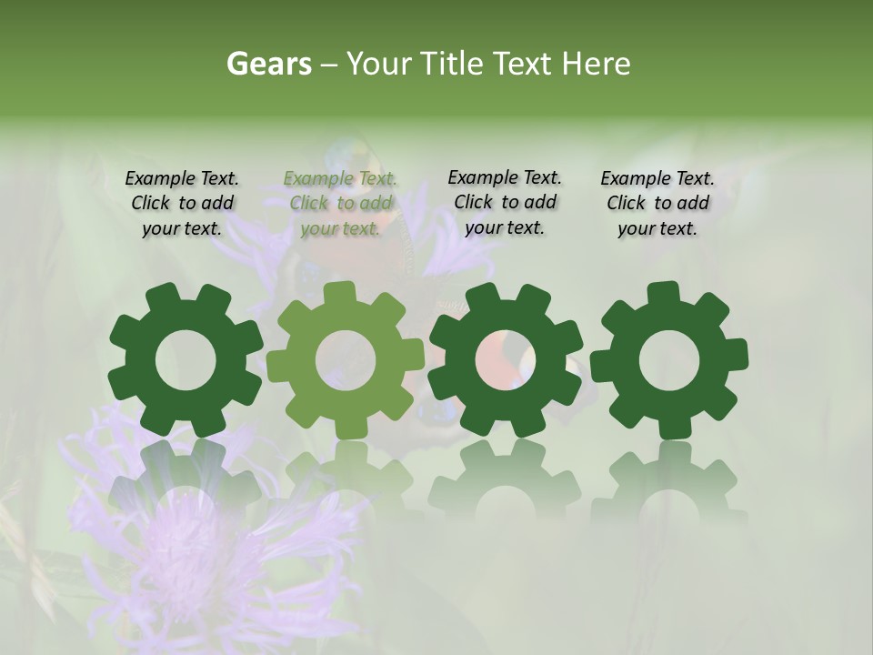 Meadow Butterfly Inachis PowerPoint Template