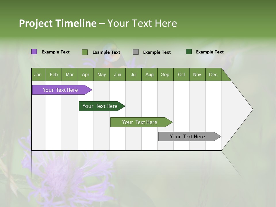 Meadow Butterfly Inachis PowerPoint Template