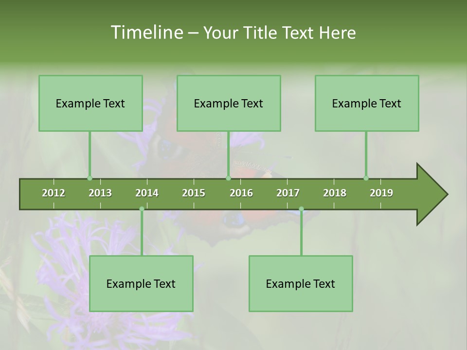 Meadow Butterfly Inachis PowerPoint Template