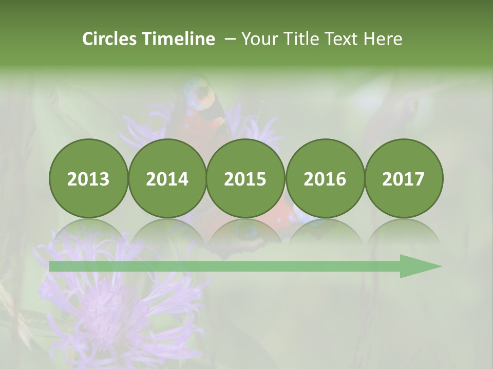 Meadow Butterfly Inachis PowerPoint Template