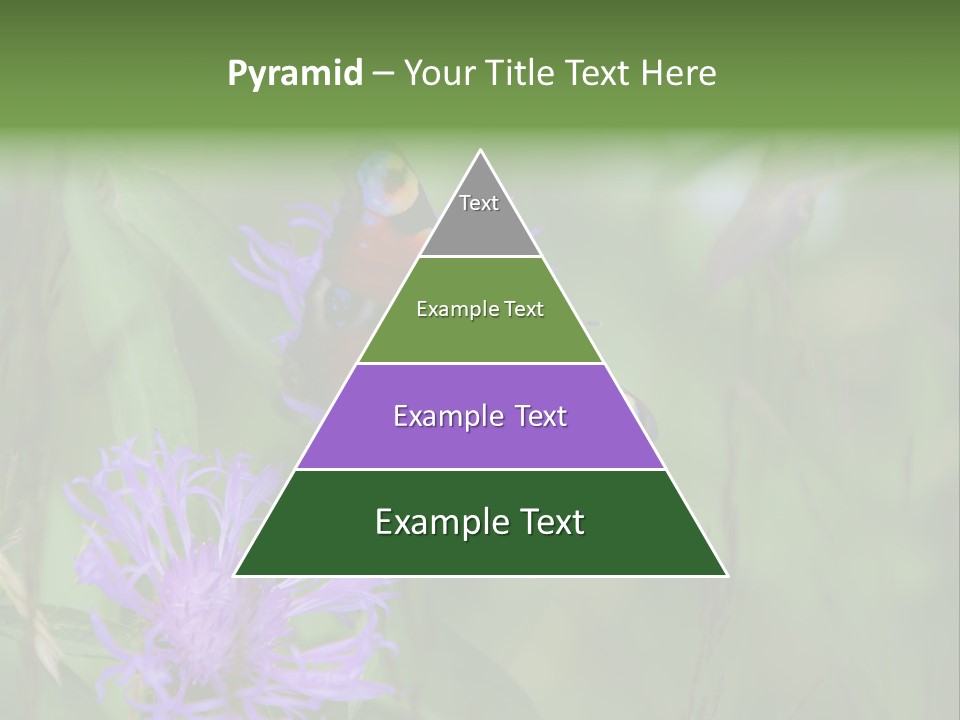 Meadow Butterfly Inachis PowerPoint Template