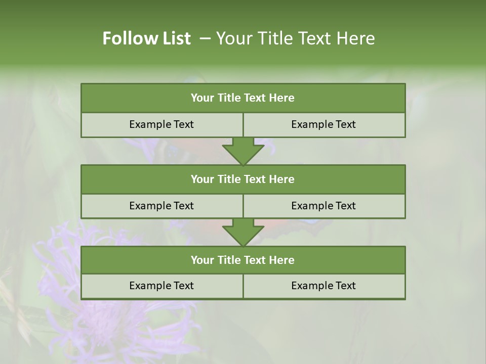 Meadow Butterfly Inachis PowerPoint Template