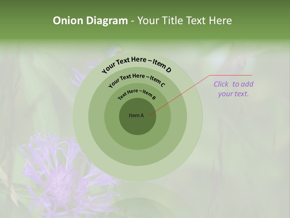 Meadow Butterfly Inachis PowerPoint Template