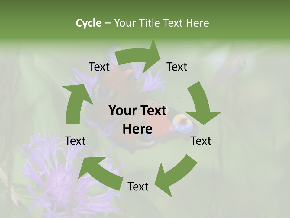 Meadow Butterfly Inachis PowerPoint Template