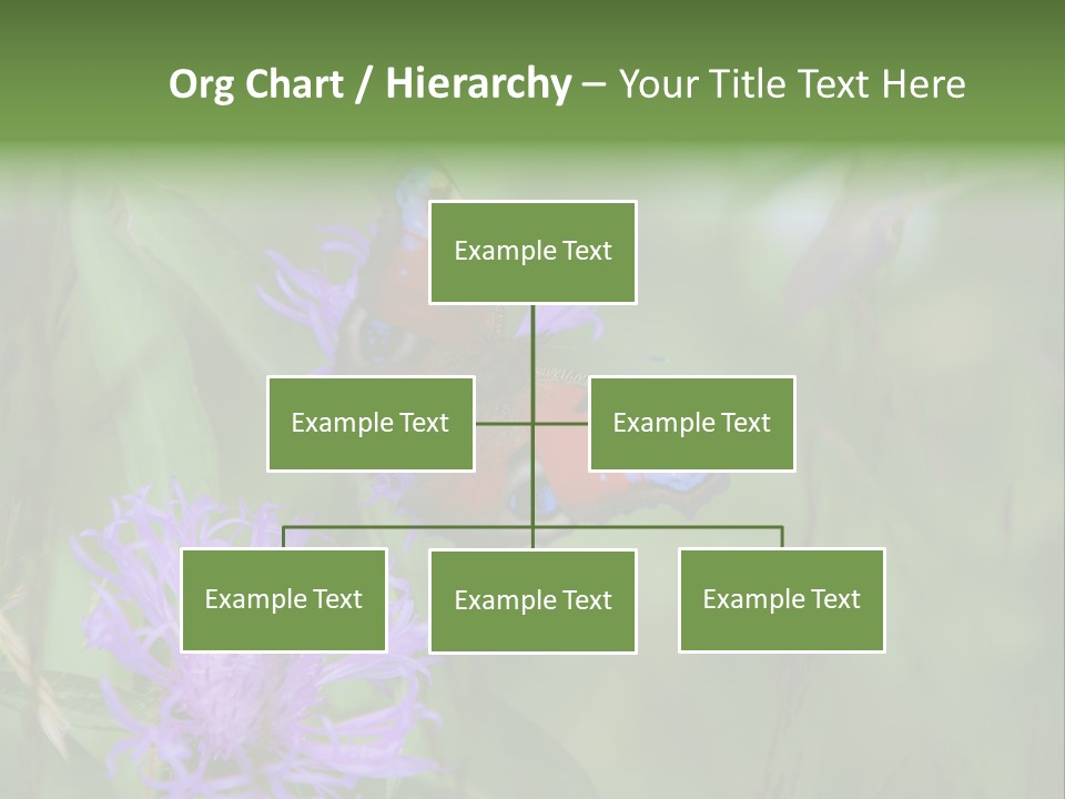 Meadow Butterfly Inachis PowerPoint Template