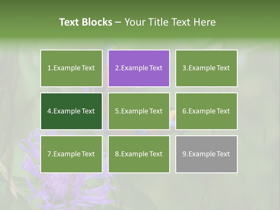 Meadow Butterfly Inachis PowerPoint Template