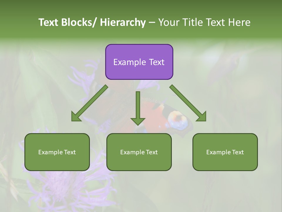 Meadow Butterfly Inachis PowerPoint Template