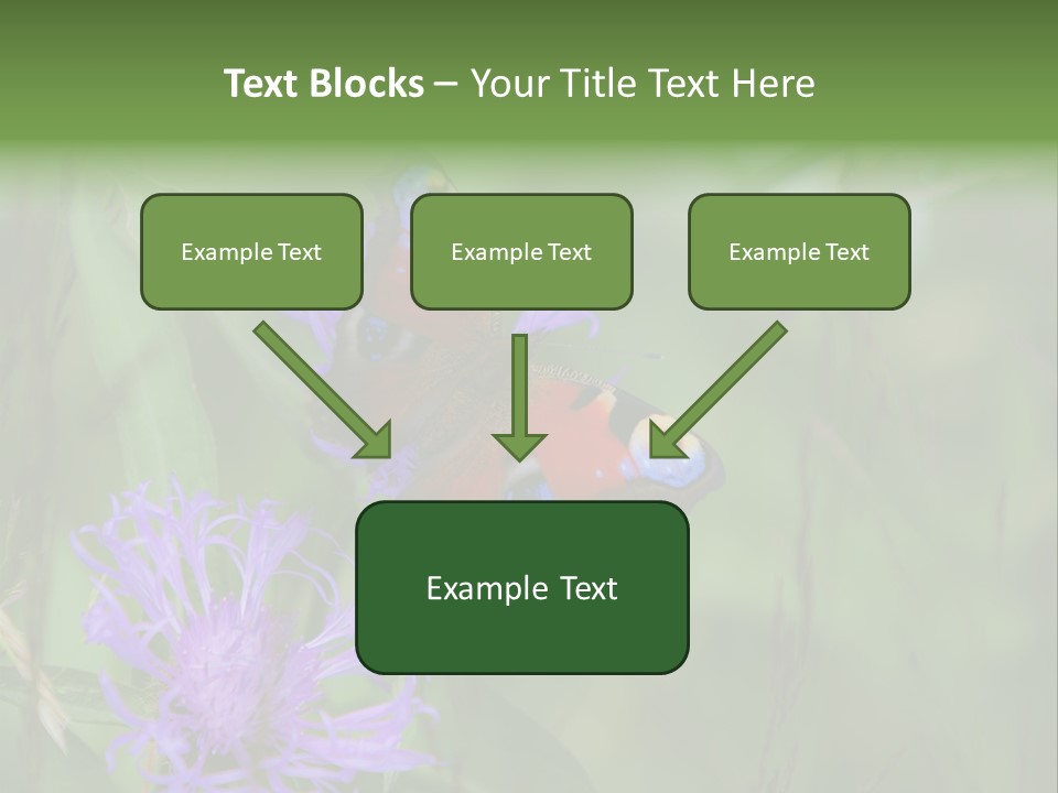 Meadow Butterfly Inachis PowerPoint Template