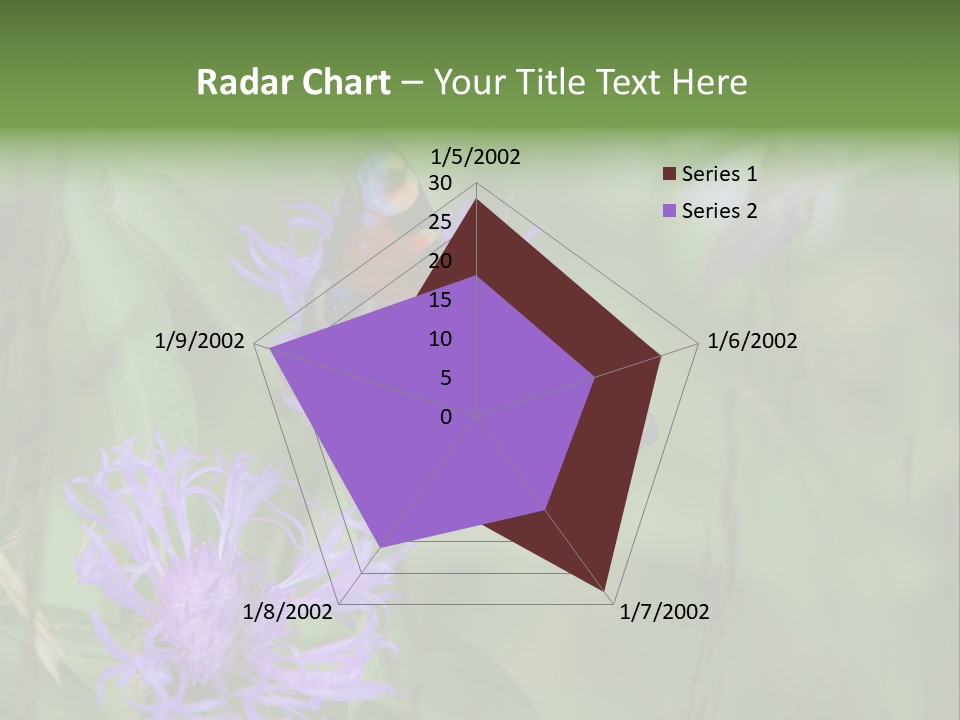 Meadow Butterfly Inachis PowerPoint Template