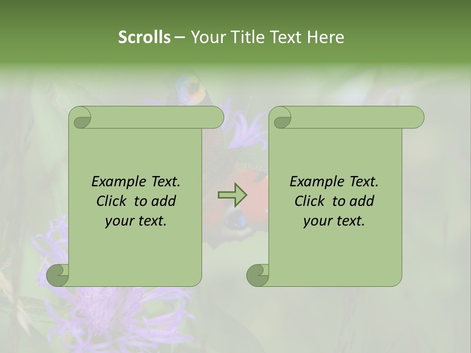 Meadow Butterfly Inachis PowerPoint Template