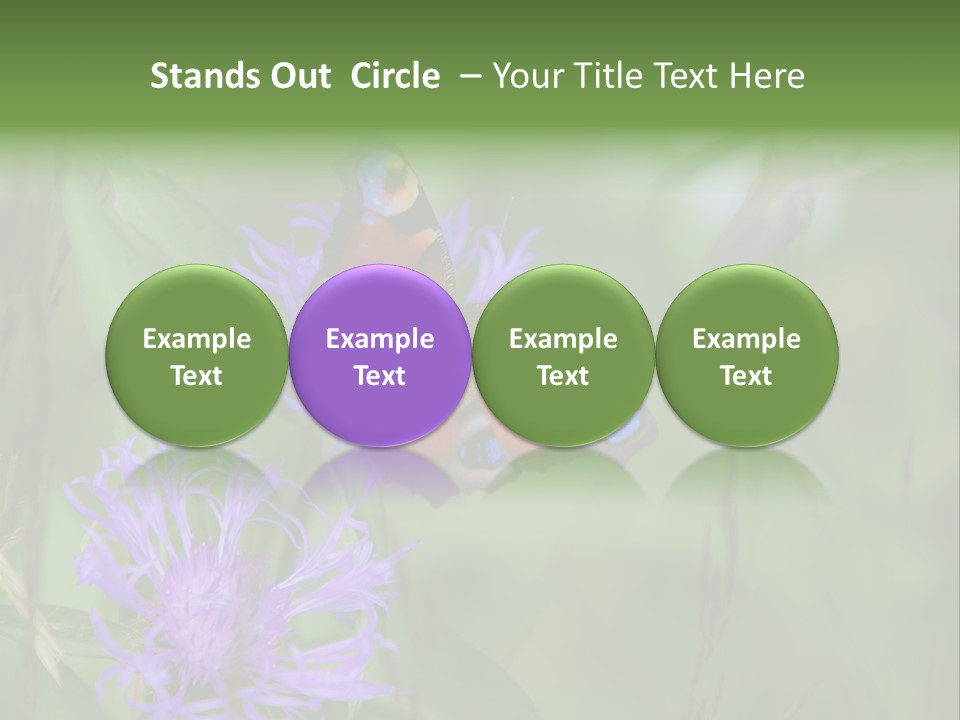 Meadow Butterfly Inachis PowerPoint Template