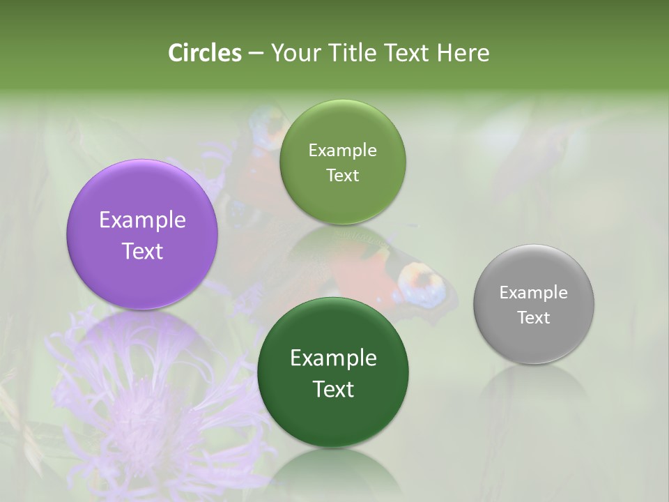 Meadow Butterfly Inachis PowerPoint Template