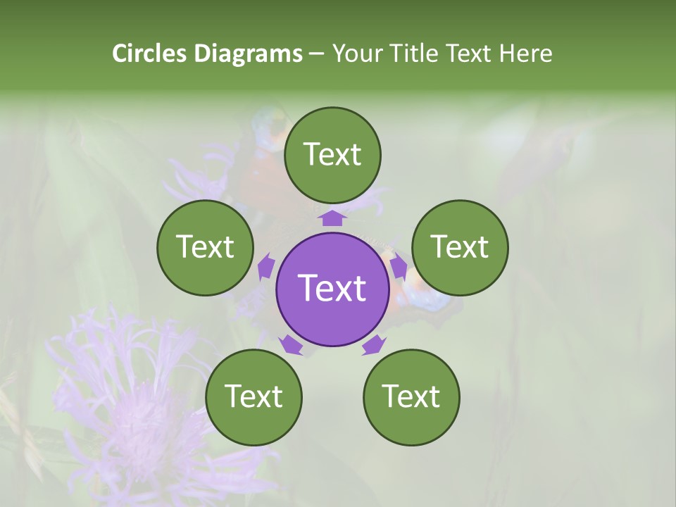 Meadow Butterfly Inachis PowerPoint Template