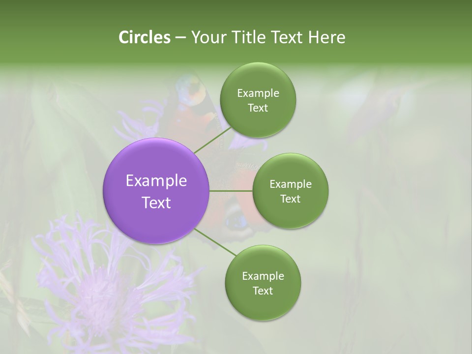 Meadow Butterfly Inachis PowerPoint Template