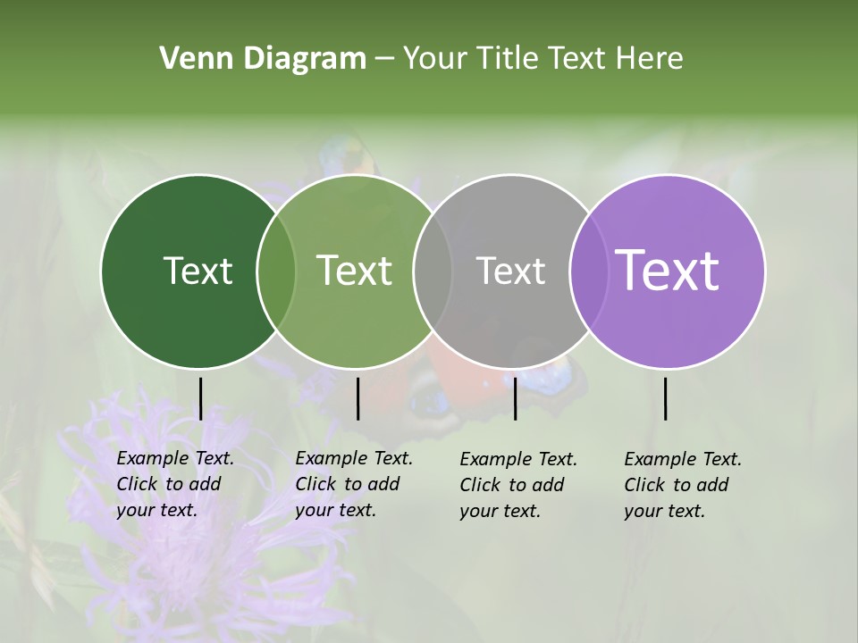 Meadow Butterfly Inachis PowerPoint Template