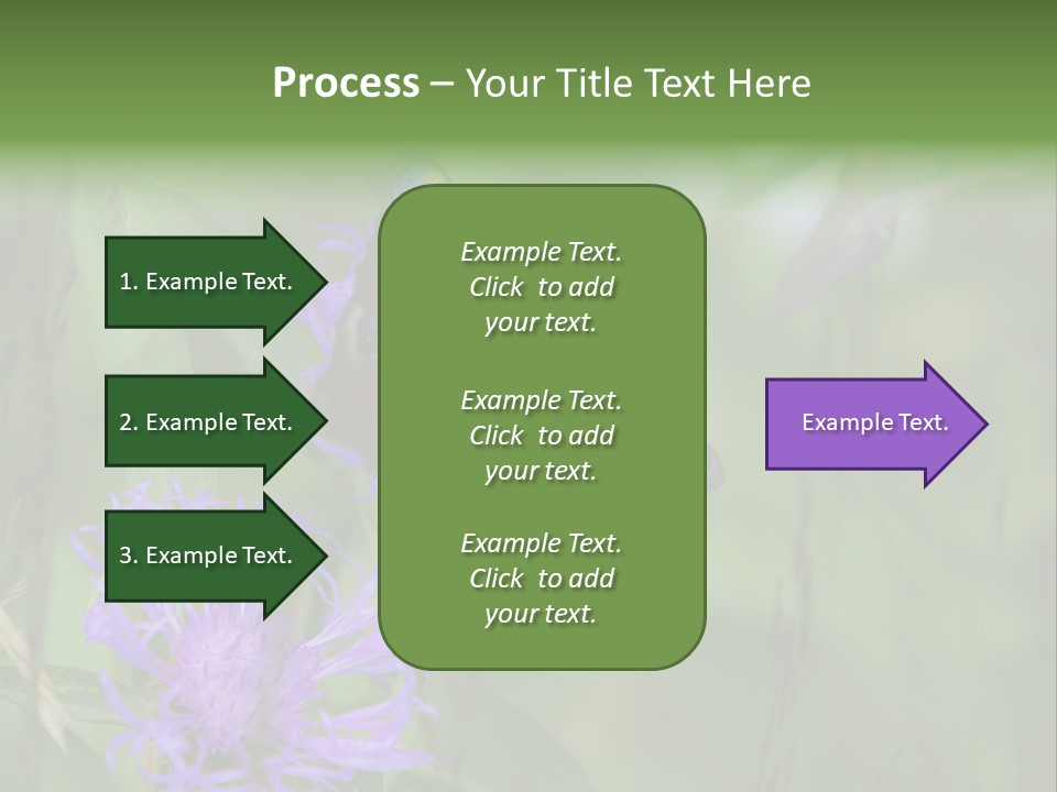 Meadow Butterfly Inachis PowerPoint Template