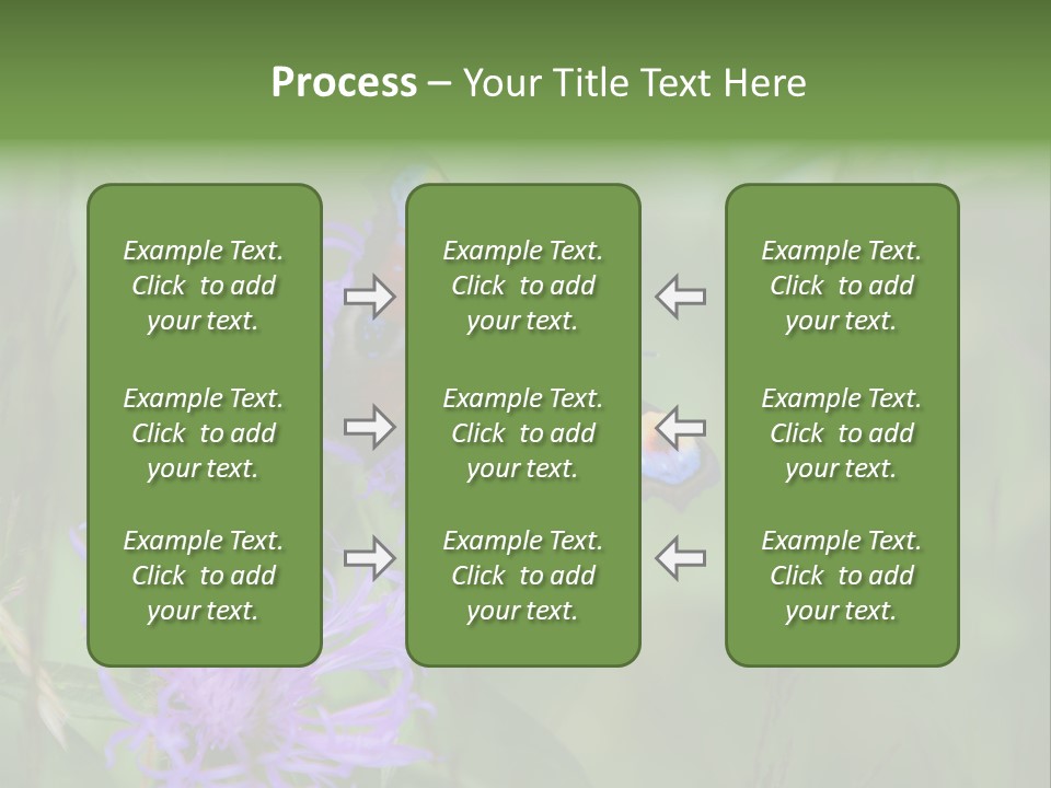 Meadow Butterfly Inachis PowerPoint Template