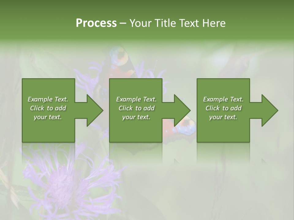 Meadow Butterfly Inachis PowerPoint Template