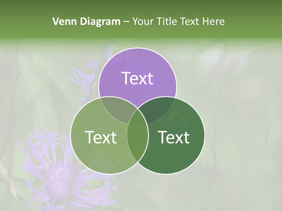 Meadow Butterfly Inachis PowerPoint Template