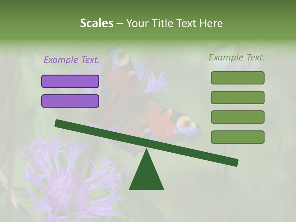 Meadow Butterfly Inachis PowerPoint Template