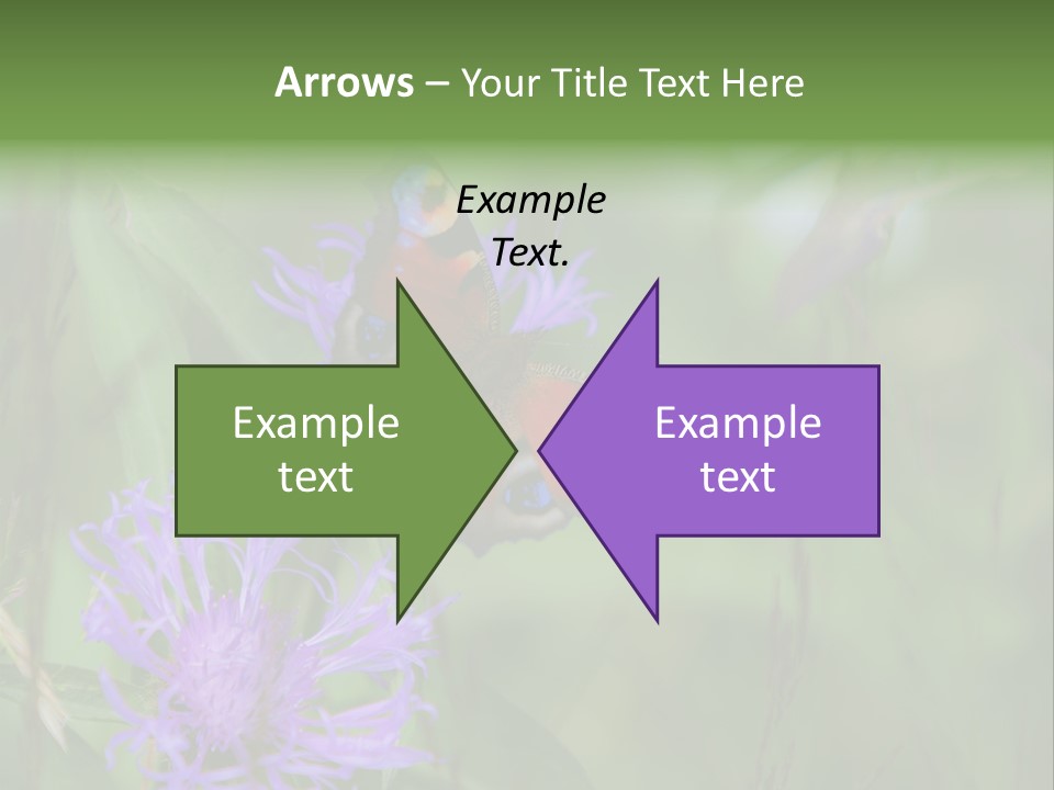 Meadow Butterfly Inachis PowerPoint Template