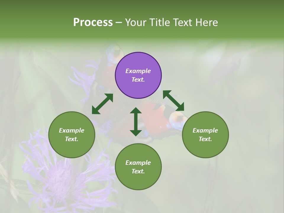 Meadow Butterfly Inachis PowerPoint Template