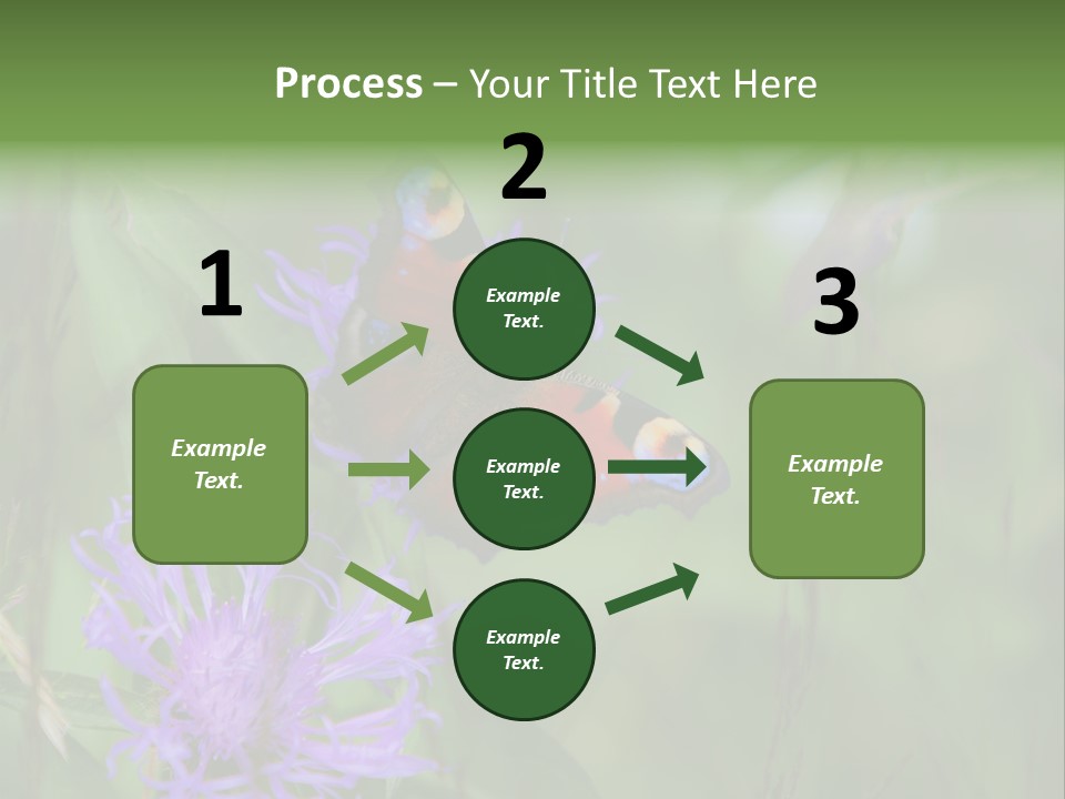 Meadow Butterfly Inachis PowerPoint Template