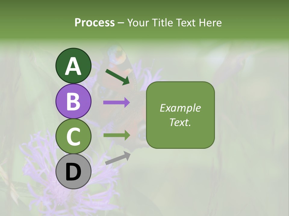 Meadow Butterfly Inachis PowerPoint Template