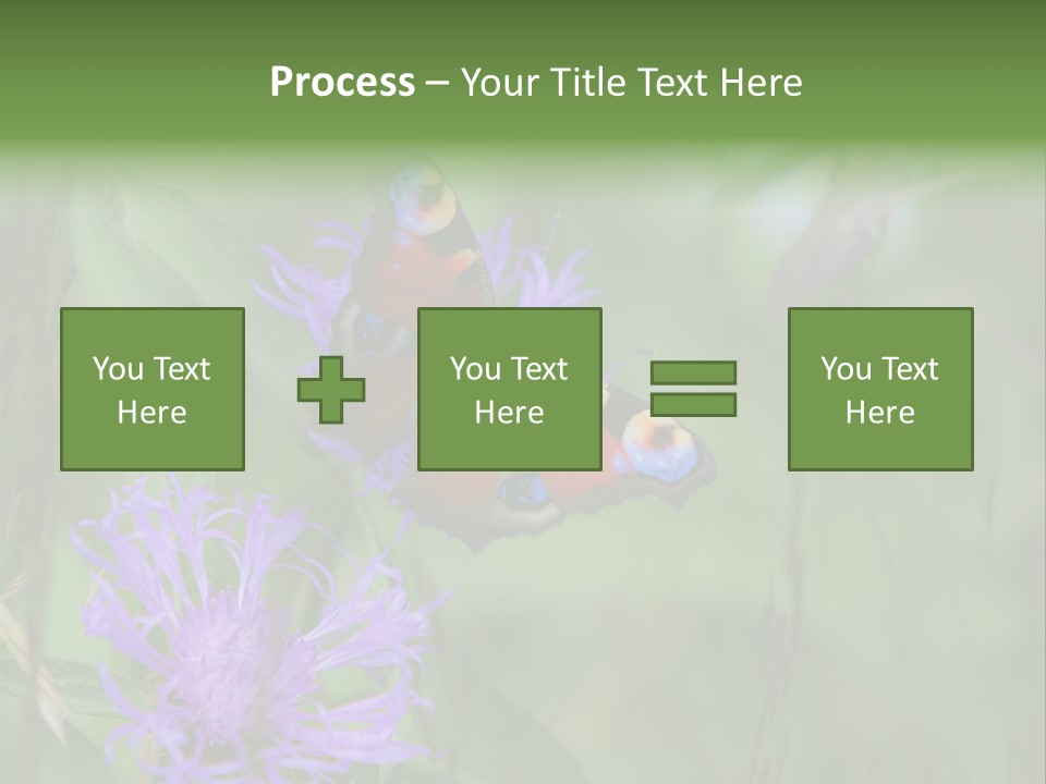 Meadow Butterfly Inachis PowerPoint Template