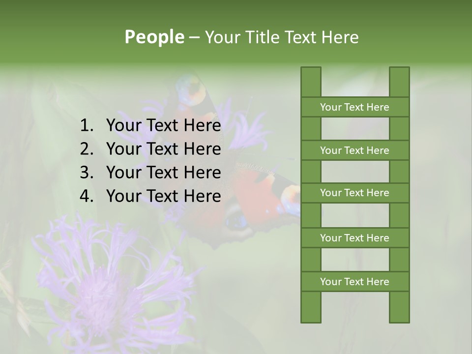 Meadow Butterfly Inachis PowerPoint Template