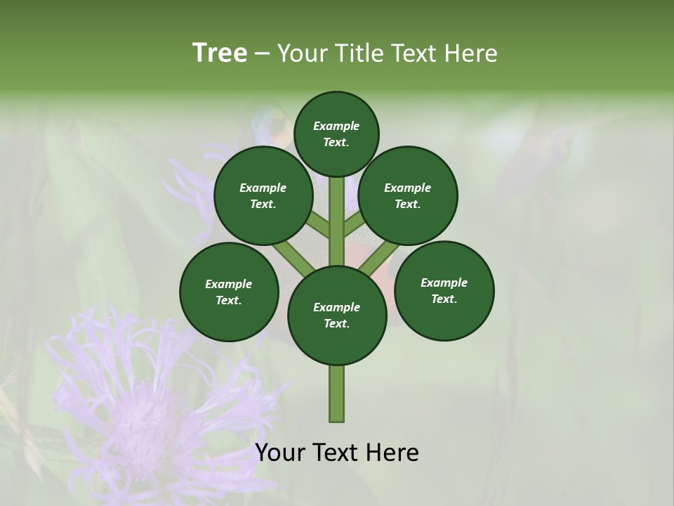 Meadow Butterfly Inachis PowerPoint Template