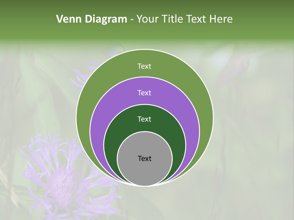 Meadow Butterfly Inachis PowerPoint Template