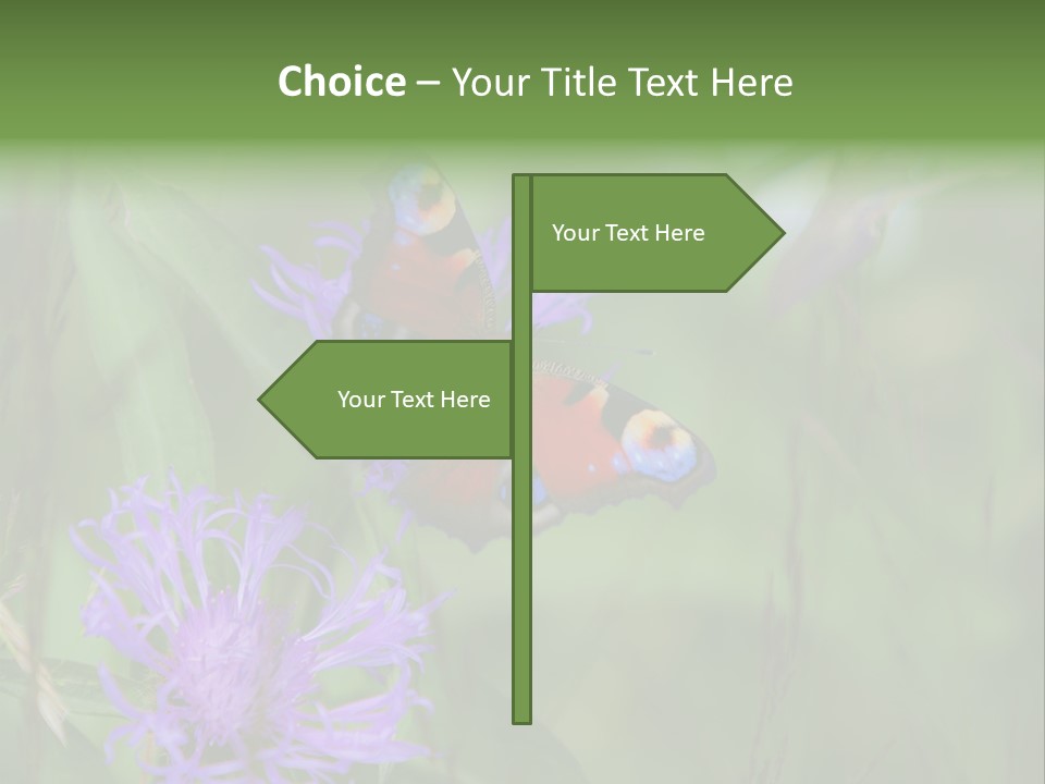 Meadow Butterfly Inachis PowerPoint Template