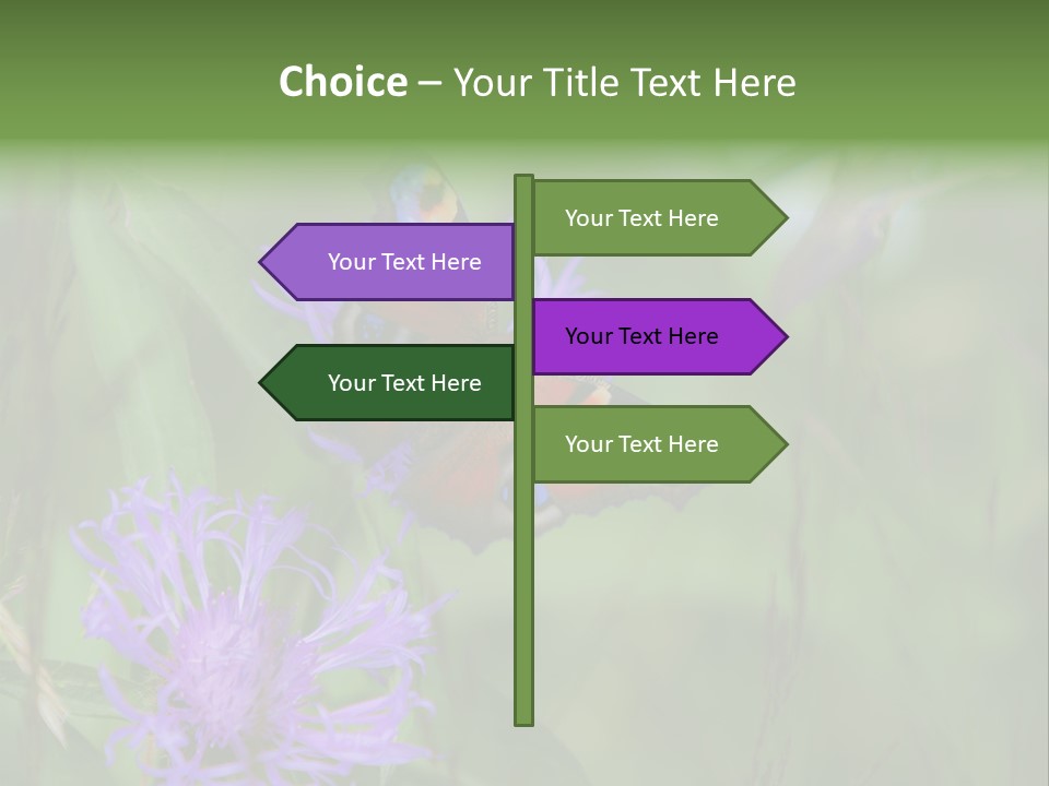 Meadow Butterfly Inachis PowerPoint Template