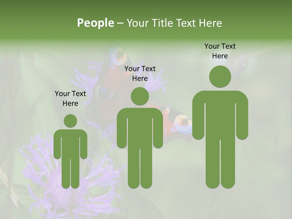 Meadow Butterfly Inachis PowerPoint Template