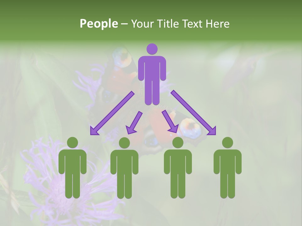 Meadow Butterfly Inachis PowerPoint Template