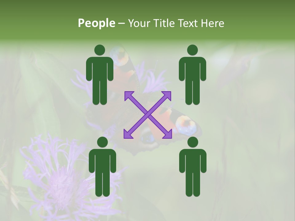 Meadow Butterfly Inachis PowerPoint Template