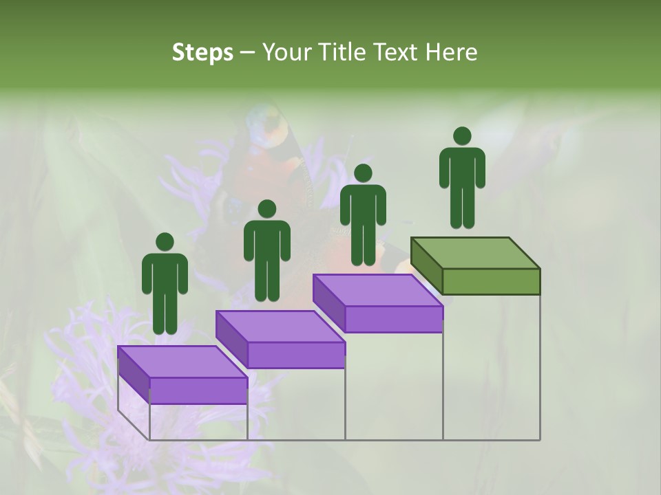 Meadow Butterfly Inachis PowerPoint Template