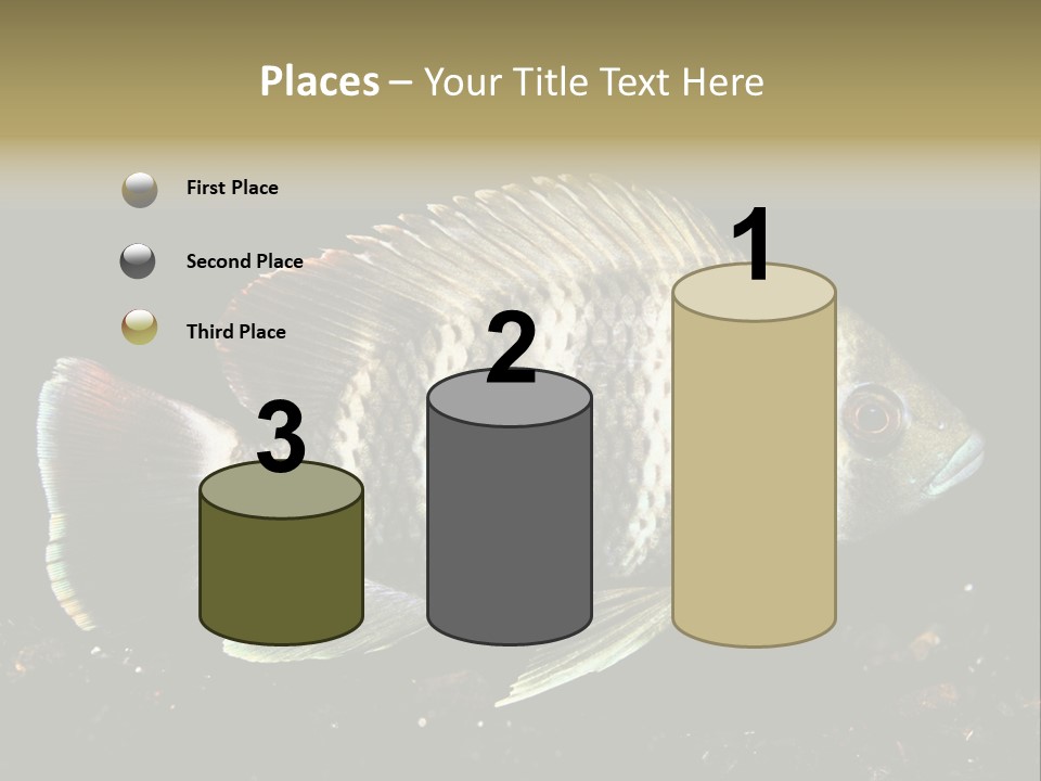 Black Fish Swim PowerPoint Template