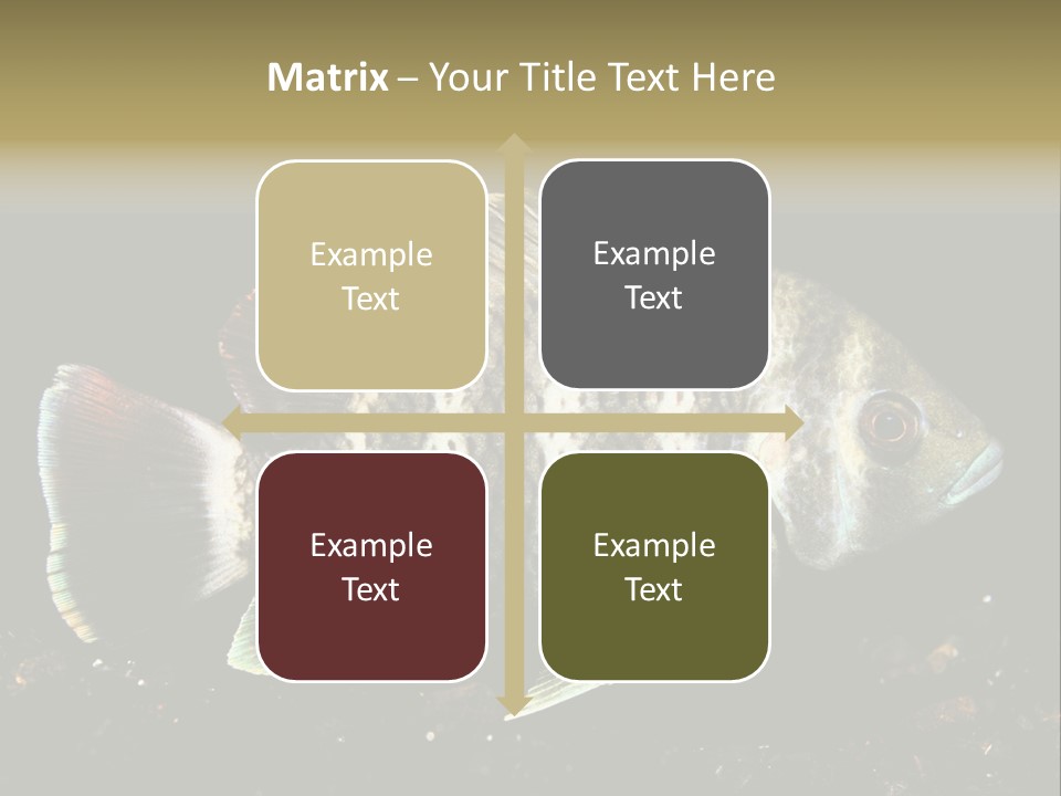 Black Fish Swim PowerPoint Template