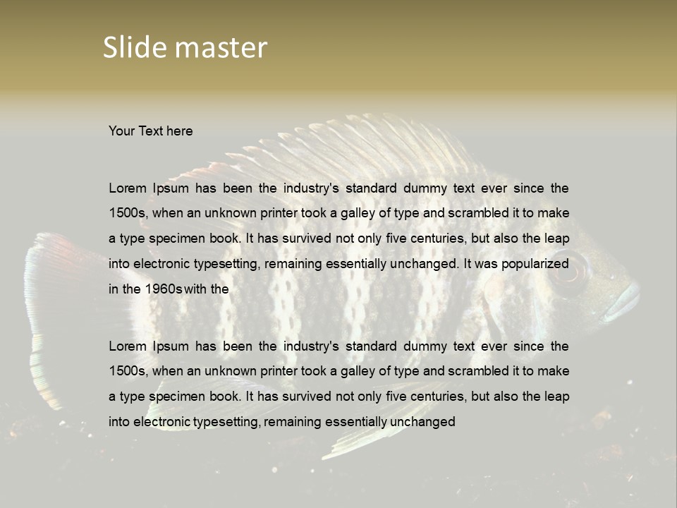 Black Fish Swim PowerPoint Template