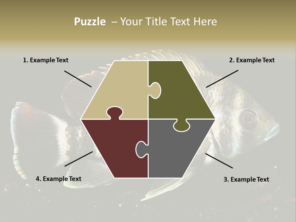 Black Fish Swim PowerPoint Template