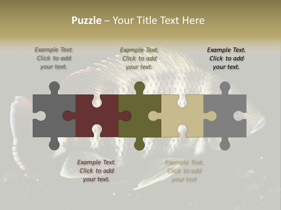 Black Fish Swim PowerPoint Template