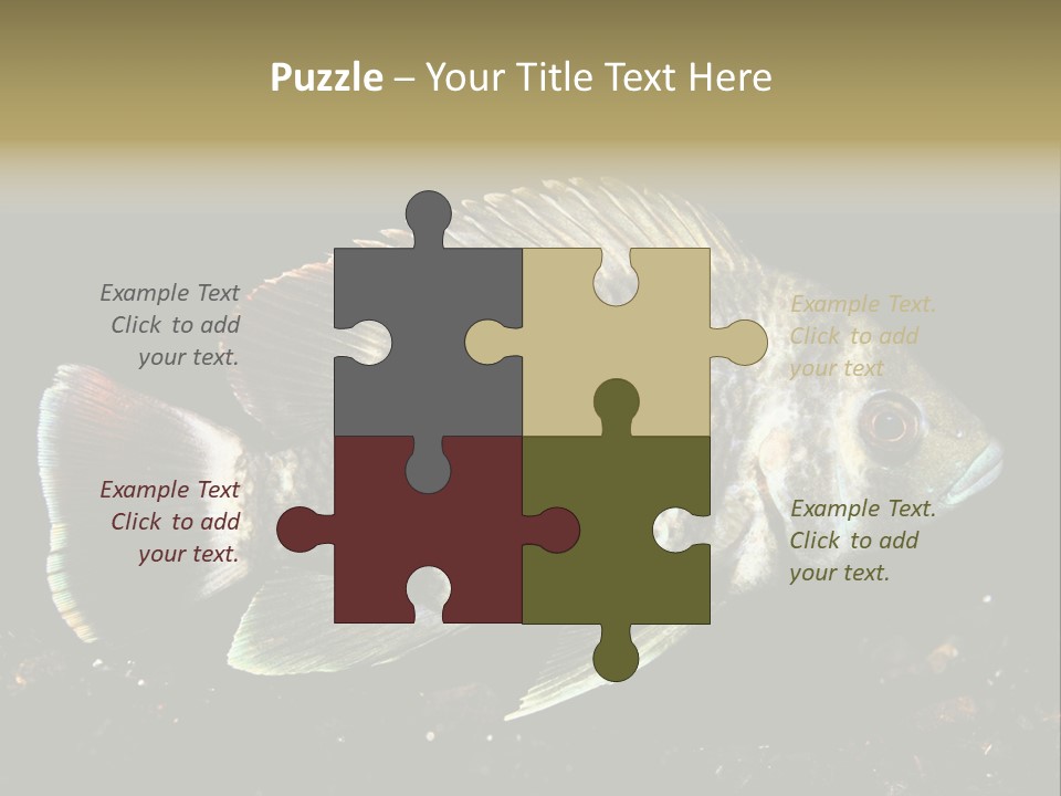 Black Fish Swim PowerPoint Template