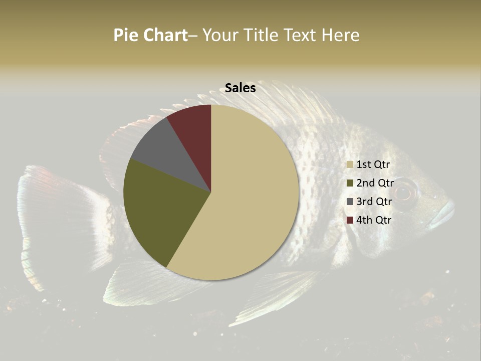 Black Fish Swim PowerPoint Template