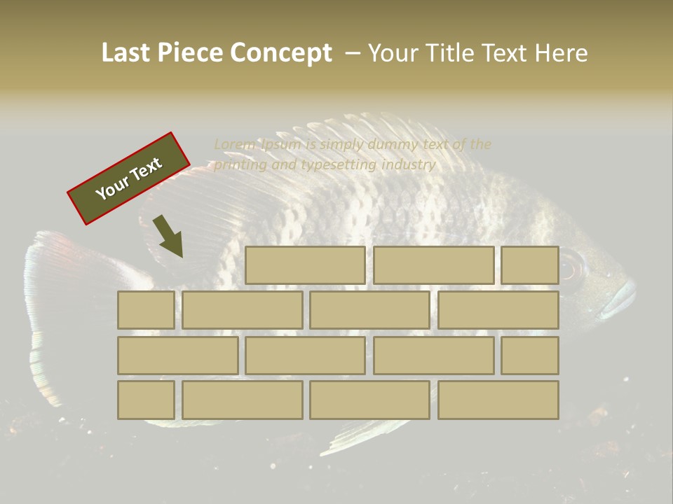 Black Fish Swim PowerPoint Template