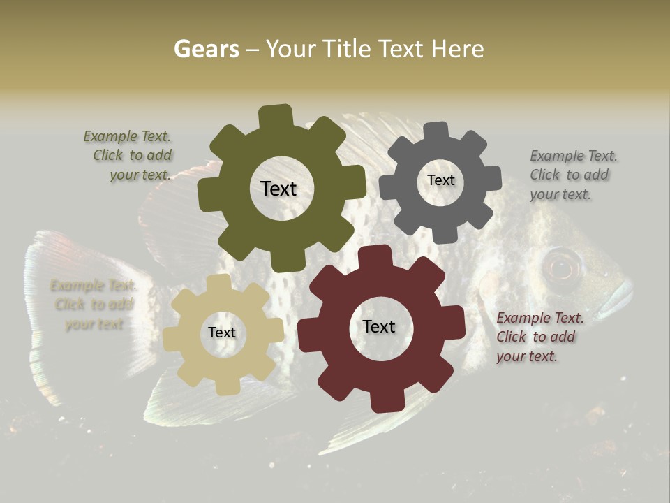 Black Fish Swim PowerPoint Template