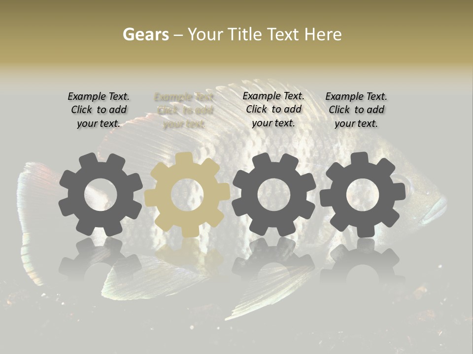 Black Fish Swim PowerPoint Template